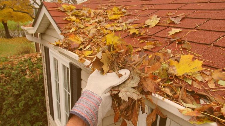 person cleaning gutters to maintain property